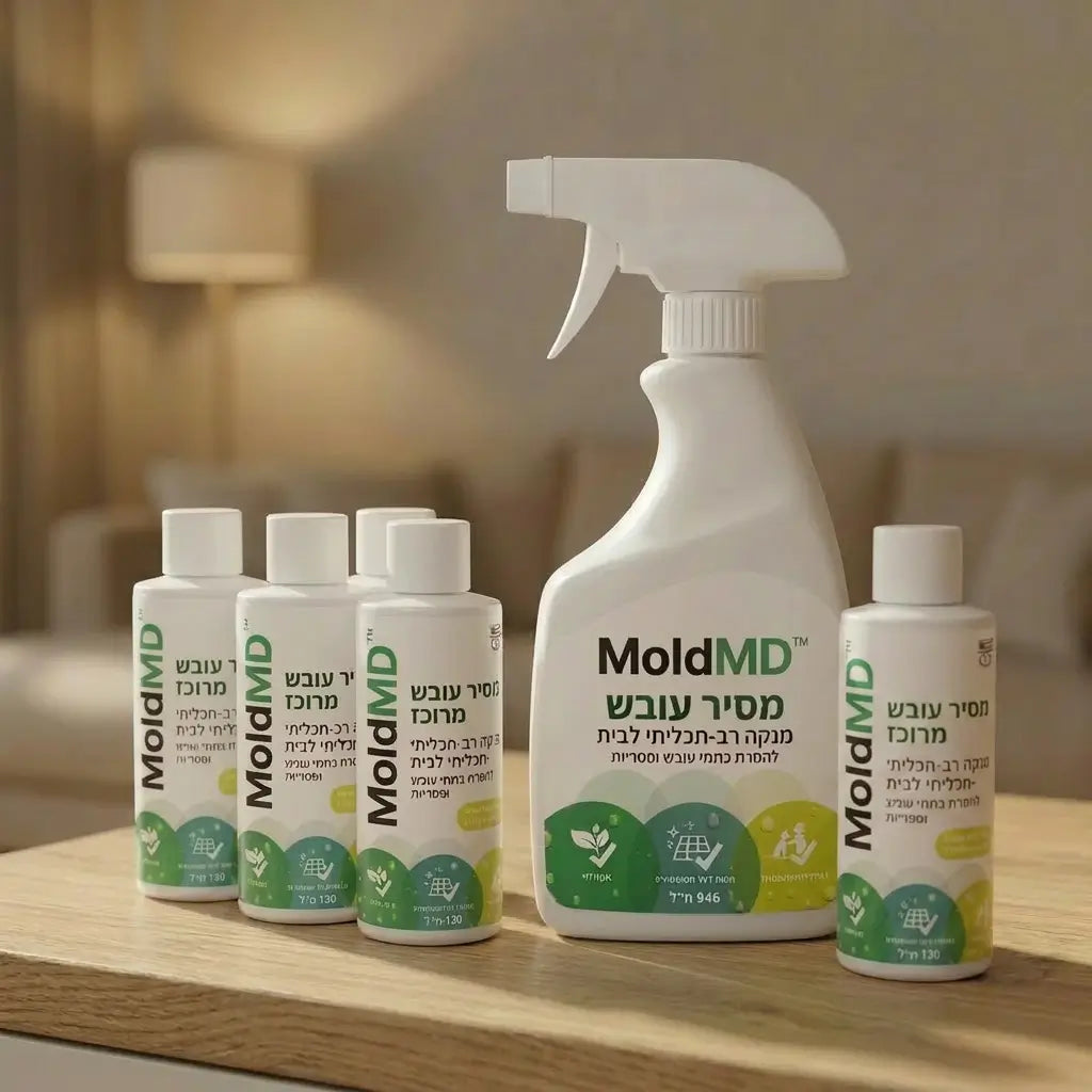 MoldMD